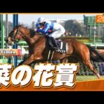 【レース映像】中山9R 菜の花賞｜アメティスタ（横山武史）｜ウイニング競馬