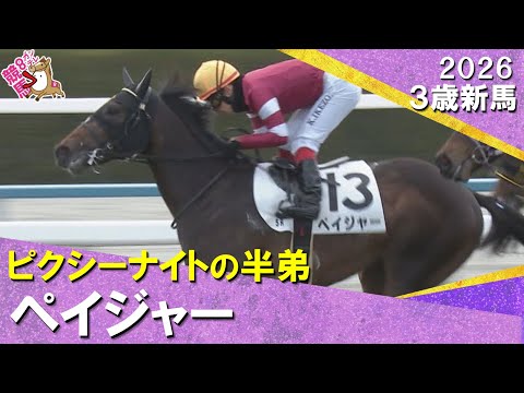 福永祐一厩舎の3億3000万円馬ペイジャーがデビュー勝ち！福永調教師「粗削りの極み」2026年1月25日(日)３歳新馬　京都1600m【カンテレ公式】
