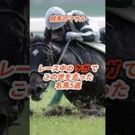 ㊗️20万再生【競馬】レース中の怪我でこの世を去った名馬5選 #競馬 #名馬