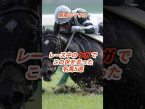 ㊗️20万再生【競馬】レース中の怪我でこの世を去った名馬5選 #競馬 #名馬
