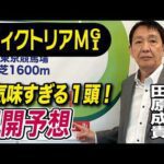 【ヴィクトリアマイル2026】元天才騎手・田原成貴が展開予想　本当に怖いのはこの馬だ《東スポ競馬》