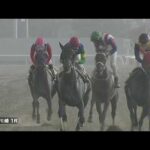 川崎競馬ダイジェスト(2025年9月11日)