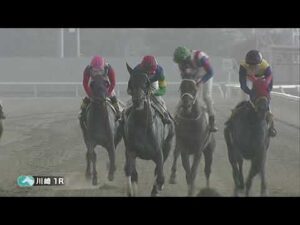 川崎競馬ダイジェスト（2025年9月11日）
