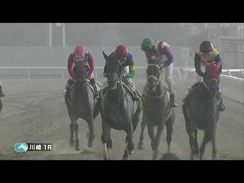 川崎競馬ダイジェスト(2025年9月11日)