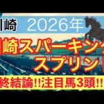 【川崎スパーキングスプリント2026】蓮の地方競馬予想(最終結論)〜東京ダービーは注目馬3頭中3頭で馬券内独占