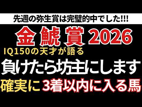 【金鯱賞2026 予想】3着以内に入る確率が高いので絶対にこの馬は買いです！先週の弥生賞完璧的中🎯