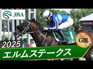 2025年 エルムステークス（GⅢ） | ペリエール | JRA公式