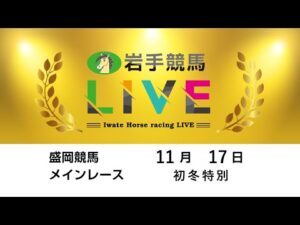 2025年11月17日 岩手競馬LIVE