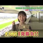 【番宣用１万円１発勝負！】競馬場の達人「関本玲花編」