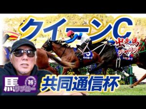 【2026 共同通信杯】【2026 クイーンC】出走馬ジャッジ