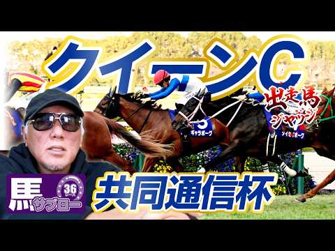 【2026 共同通信杯】【2026 クイーンC】出走馬ジャッジ