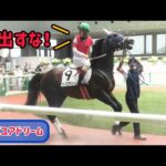 騒音に驚くウィズユアドリーム、高田潤騎手がお叱り!