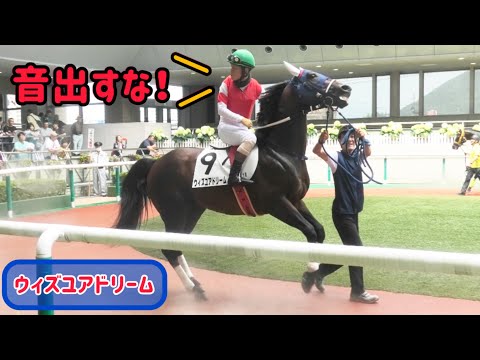 騒音に驚くウィズユアドリーム、高田潤騎手がお叱り!