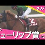 2025年 チューリップ賞 (GⅡ) クリノメイ 実況:川島壮雄【カンテレ公式】