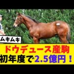 ドウデュース産駒、ついに億超え！競馬ファンの反応がこちら【競馬反応集】