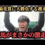 【激走!!】菊花賞3万円勝負をした男の土日2日間…まさかの穴馬激走で勝つことは出来たのか!?