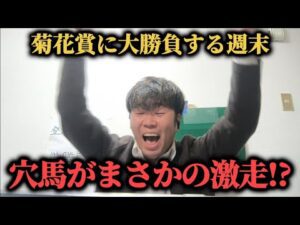 【激走!!】菊花賞3万円勝負をした男の土日2日間…まさかの穴馬激走で勝つことは出来たのか！？