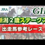 【参考レース】2025年 新潟2歳ステークス|JRA公式
