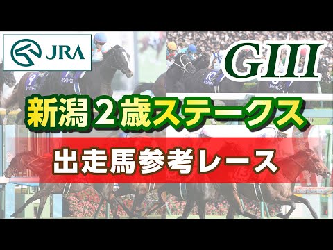 【参考レース】2025年 新潟2歳ステークス|JRA公式