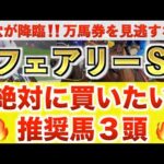 【フェアリーS2026 予想】トワニ過去最高のデキ？プロが"全頭診断"から導く絶好の3頭！