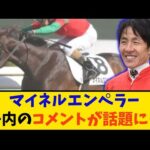 【競馬】「マイネルエンペラー 丹内騎手のコメントが話題に…」に対する反応【反応集】