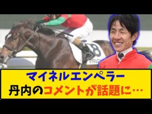 【競馬】「マイネルエンペラー 丹内騎手のコメントが話題に…」に対する反応【反応集】