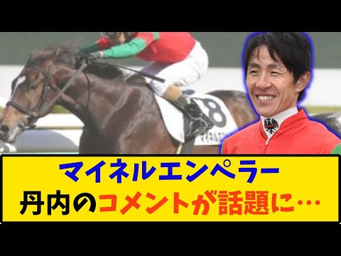 【競馬】「マイネルエンペラー 丹内騎手のコメントが話題に…」に対する反応【反応集】