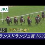 【日本馬出走】2025年 プランスドランジュ賞（G3） | クロワデュノール | JRA公式