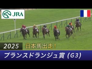 【日本馬出走】2025年 プランスドランジュ賞（G3） | クロワデュノール | JRA公式