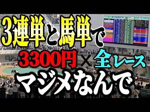 3連単と馬単 計3300円×全レースでどうなるのかッ!?in阪神競馬場【競馬実践】