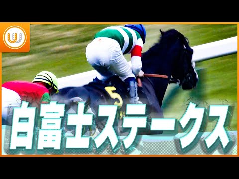 【レース映像】東京11R 白富士ステークス|シュトラウス(北村宏司)|ウイニング競馬
