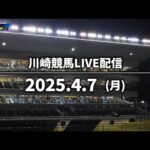 【第1回開催】川崎競馬パドック解説付きLIVE(2025年4月7日)