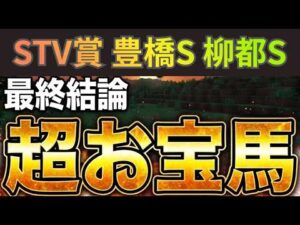 【STV賞2026】超面白い4レース徹底考察【競馬予想】【豊橋S2026】【柳都S2026】