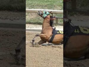 チャーチルダウンズ競馬場での致命的な転倒