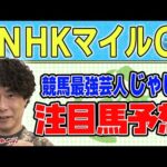 【競馬】NHKマイルカップでのじゃいの予想【勝ち馬予想】