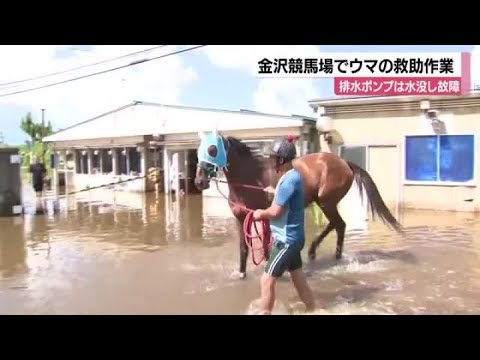 金沢の大雨で金沢競馬場の競走馬600頭が取り残される 排水ポンプは水没し故障 (2025年8月8日)