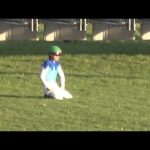 【現地 落馬相次ぐ 】2025 G1 ジャパンカップ  開幕直後にアドマイヤテラ 川田将雅騎手落馬 レース後にはマスカレードボールとダノンデサイルも落馬【悲鳴と拍手が交錯する東京競馬場】