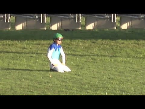 【現地 落馬相次ぐ 】2025 G1 ジャパンカップ 開幕直後にアドマイヤテラ 川田将雅騎手落馬 レース後にはマスカレードボールとダノンデサイルも落馬【悲鳴と拍手が交錯する東京競馬場】