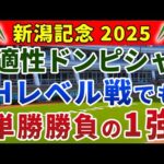 新潟記念2025 競馬YouTuber達が選んだ【確信軸】別定戦でも荒れる!総合力が高い1強!