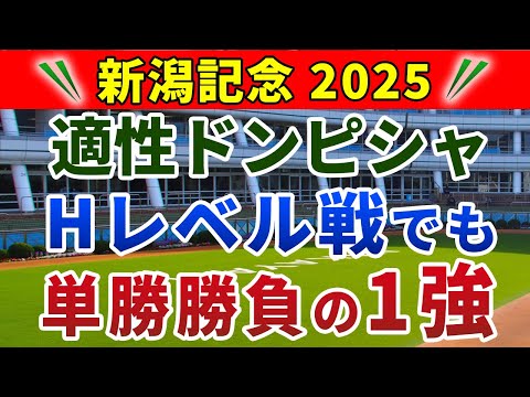 新潟記念2025 競馬YouTuber達が選んだ【確信軸】別定戦でも荒れる!総合力が高い1強!