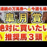 【皐月賞2026 予想】ロブチェン過去最高のデキ？プロが"全頭診断"から導く絶好の3頭！