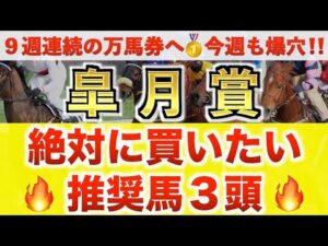 【皐月賞2026 予想】ロブチェン過去最高のデキ？プロが"全頭診断"から導く絶好の3頭！