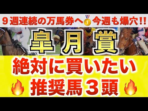 【皐月賞2026 予想】ロブチェン過去最高のデキ？プロが"全頭診断"から導く絶好の3頭！