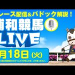 2025年3月18日(火)浦和競馬LIVE 全レース配信&パドック解説!