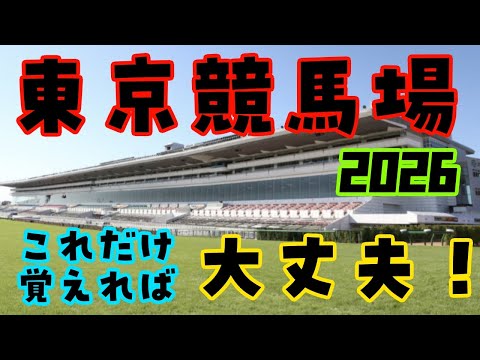 【東京競馬場攻略2026】距離別の強めの特徴を徹底解説　馬券に役立つ有利な脚質、枠、騎手、血統など買い方を攻略