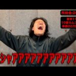1000万円取り返すために競馬神に来る馬聞いたら奇跡起きた【4月税金#3】