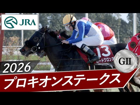 2026年 プロキオンステークス（GⅡ） | ロードクロンヌ | JRA公式