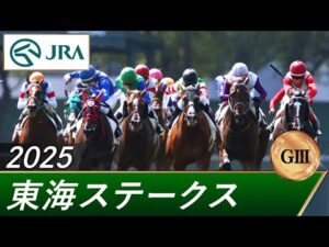 2025年 東海ステークス（GⅢ） | 第42回 | JRA公式