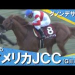 2025年 アメリカジョッキークラブカップ (ＧⅡ) ダノンデサイル【カンテレ公式】