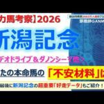 【新潟記念2026 有力馬考察】ロデオドライブ＆ダノンシーマ他 人気馬5頭を徹底考察！